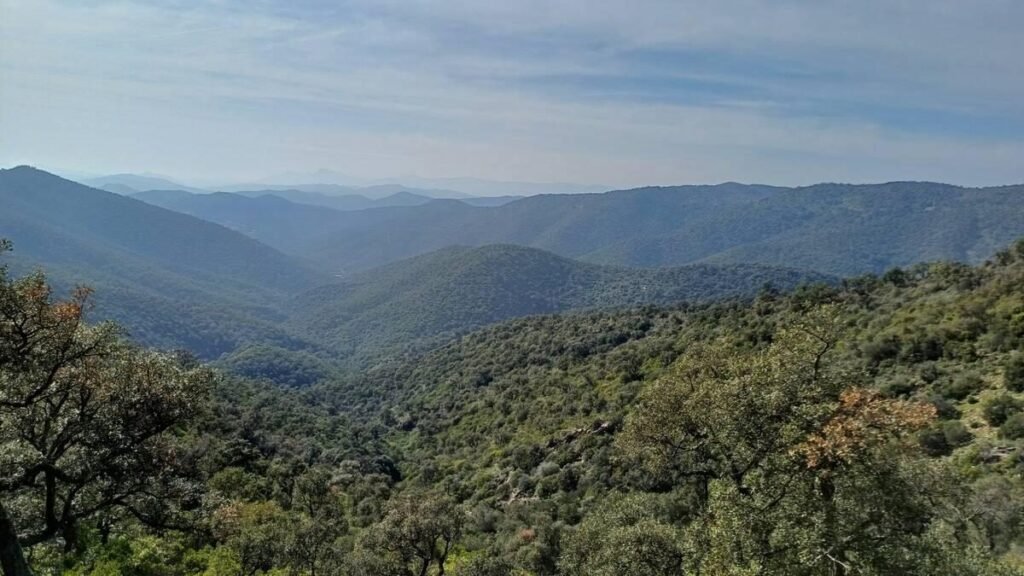 Panorama sur le massif des Maures depuis le Col du Babaou