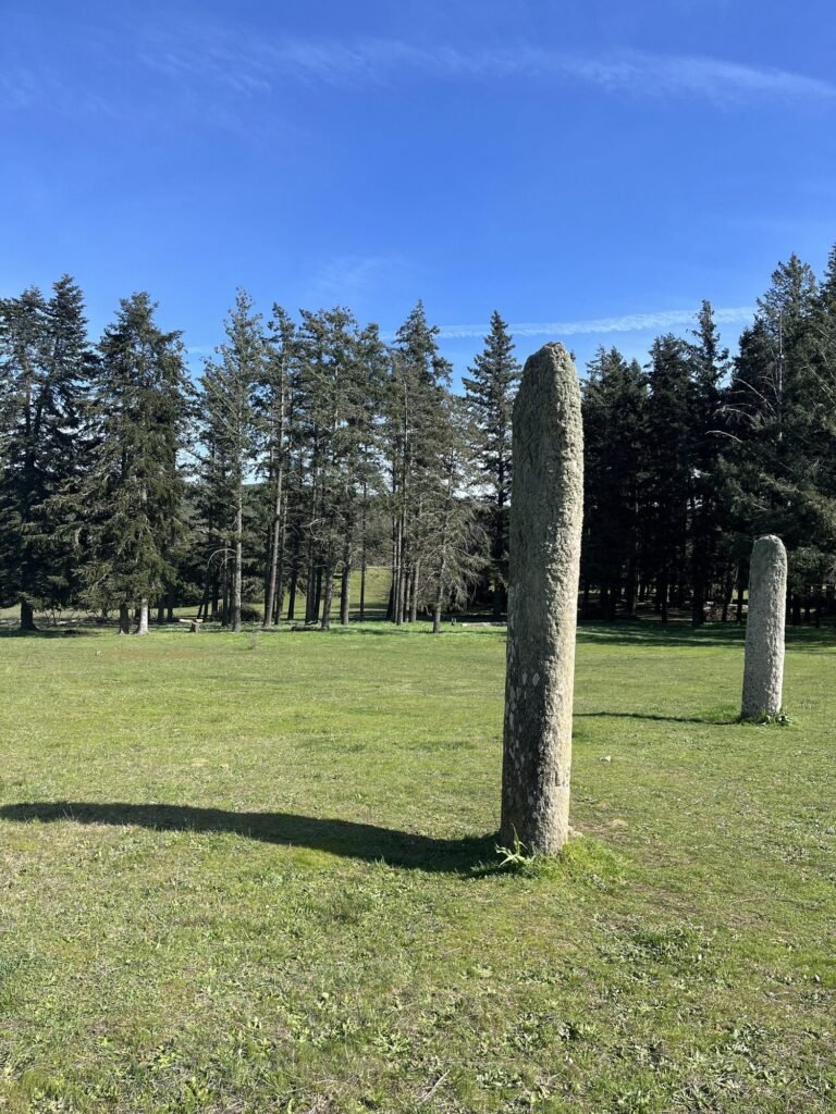 Les menhirs du Plateau Lambert