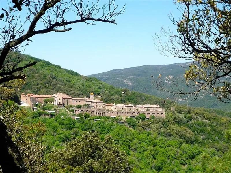 La Chartreuse de la Verne au cœur de la forêt