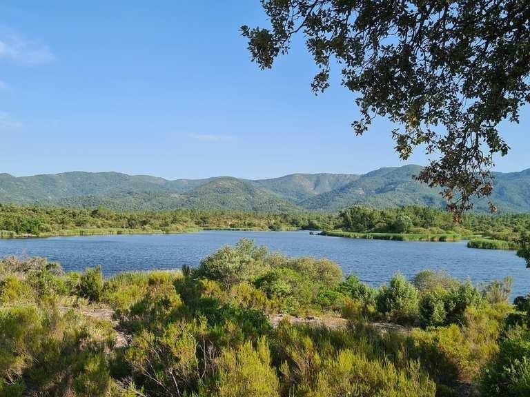Le lac des Escarcets