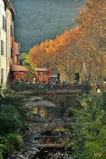 L'été sur le littoral varois